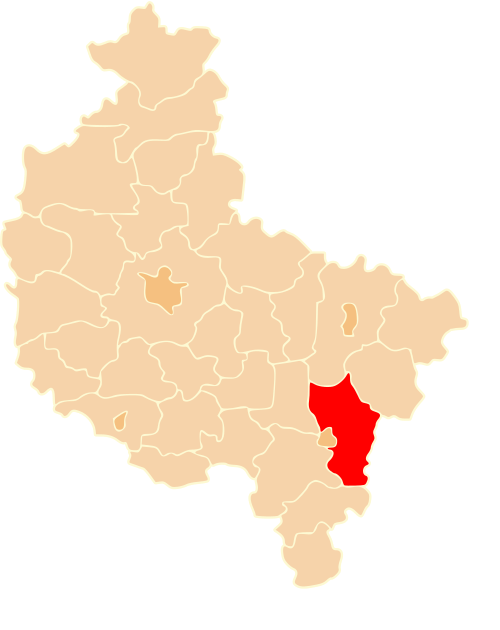 Kalisz County